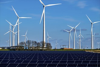 Vopak Solarpark Eemshaven, 19 hectares of solar modules with a capacity of 25 megawatts, around the