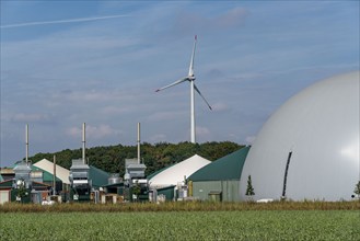 Biogas plant, combined heat and power plants, for power generation, dome-shaped gas storage, wind