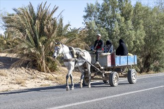 Typical street scene, horse with carriage, Merzouga, Morocco, Africa