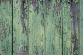 Old wooden door with peeling paint, texture, background, Münsterland, North Rhine-Westphalia,