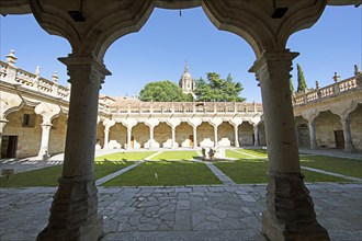 Patio courtyard of the Colegio Fonseca, University of Salamanca, province of Salamanca, Castile and