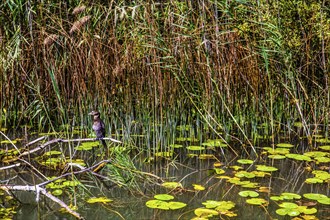 Natural paradise and national park Lake Scutari, the largest lake on the Balkan Peninsula between