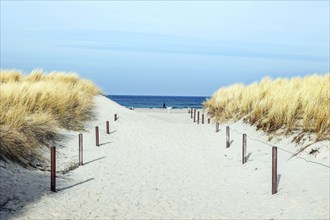 Path through the dunes to the beach, Warnemünde, 09.02.2023