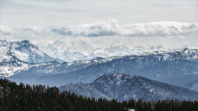 Panorama of a snow-covered mountain range with forest in the foreground in the Chiemgau mountains