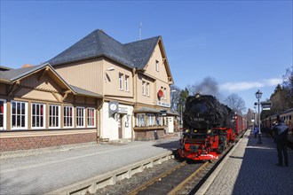 Steam train of the Brockenbahn railway steam railway at Drei Annen Hohne station, Germany, Europe