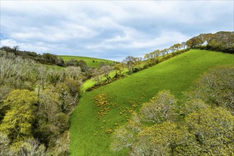 Forest, Farms and Farms over Long Wood and River Dart from a drone, Dartmouth, Kingswear, Devon,