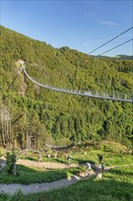 Blackforestline near Todtnau, Black Forest, Baden-Württemberg, Germany, Todtnau, Baden-Württemberg,