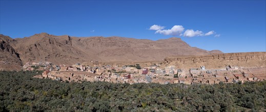 Oasis with traditional mud houses and date palms, on the edge of the Todra Gorge or Gorges du