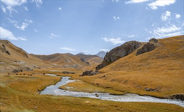 River Kol Suu winds through a mountain valley with hills of yellow grass, Naryn Province,