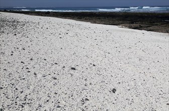 Beach of white crushed coral, near Corralejo on north coast of Fuerteventura, Canary Islands,