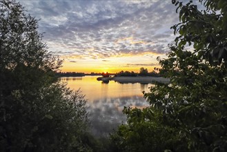 Foggy mood, sunrise on the Elbe, biotope, habitat, Elbe meadows, floodplain landscape, river