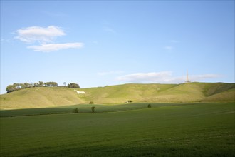 Scarp slope of White Horse on Cherhill Down and Lansdowne monument, Cherhill, Wiltshire, England,