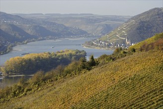 Europe, Germany, Rhineland-Palatinate, Middle Rhine, Rhine Valley, river, Rhine, autumn, autumn