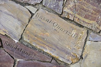 Basal quartzite and Torridonian sandstone rock fragments, parts of the Knockan Puzzle at the