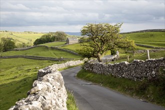 Old barn and dry stonewalls, Malham, Yorkshire Dales national park, England, UK