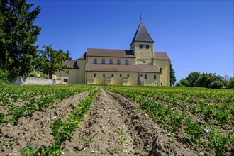 Parish Church of St George, UNESCO World Heritage Site, Oberzell, Reichenau Island on Lake