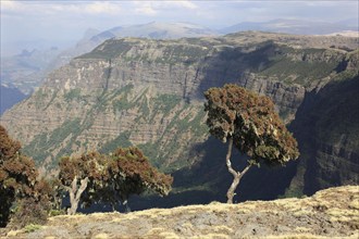 In the highlands of Abyssinia, in the Semien Mountains, landscape in the Semien Mountains National