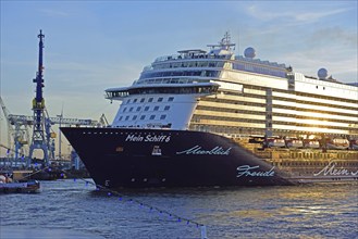 Germany, Hamburg, harbour, cruise ship, Mein Schiff 6, Europe