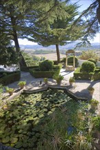 Pond plants trees in garden Casa del Rey Moro, Ronda, Spain, Europe