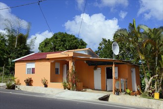 An orange-painted house under a blue sky with lush vegetation in the background, located between