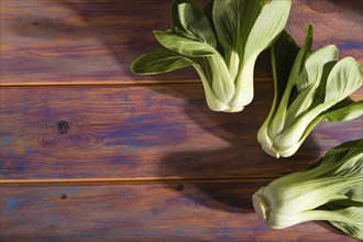 Fresh green bok choy or pac choi chinese cabbage on a colored wooden background. Hard light,