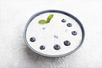 Yogurt with blueberry in ceramic bowl on gray concrete background. Side view, copy space, close up