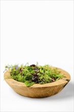 Wooden bowl with different microgreens on white background