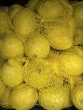 Lemons (Citrus limon) environmentally friendly packed with packaging in plastic net in display of