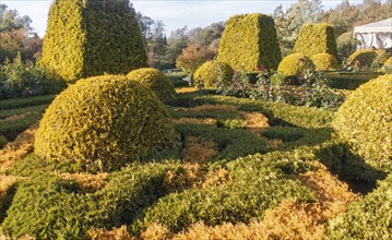 Cottage garden with topiary, hedges, trimmed bushes. Modern landscape design