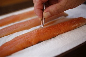 Southern German cuisine, preparation of sorrel soup with char, raw char fillets, remove bones with