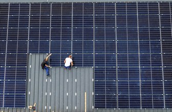 Installation of solar modules on the roof of a barn on a farm, over 210 photovoltaic modules are