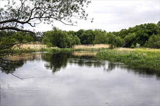 Unregulated natural course of the Spree, Mönchwinkel, 16 05 2023