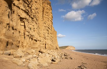 Sandstone cliffs and beach West Bay, Bridport, Dorset, England, UK