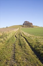 Chalk landscape in winter, Woodborough Hill, Vale of Pewsey, Wiltshire, England, UK