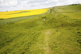 Ditch and embankment of the Wansdyke a Saxon defensive structure on All Cannings chalk downs, Tan