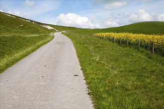 Small narrow lane on chalk downland scarp slope, Allington Down, Wiltshire, England, United