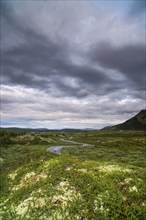 Fjell area near the lake Savalen, Fjell, landscape, river, evening mood, Savalen, Tynset,