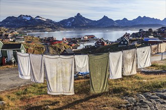 Laundry drying on clothesline in Inuit settlement, houses on a fjord with steep mountains, autumn,