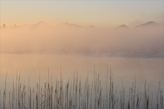 Foggy mood, lake, mountain landscape, peace, silence, morning light, summer, Staffelsee, Murnau,