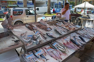 Different kinds of fish on display at a street market, city in the background, market, Nafplio,