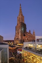 Christmas market in front of the cathedral on Münsterplatz, Ulm, Baden-Württemberg, Upper Swabia,