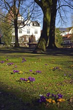 Europe, Germany, Lower Saxony, Buxtehude, Hamburg metropolitan region, City park in spring, Bird