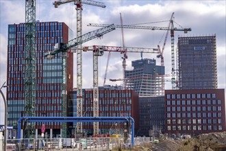 Construction sites in the east of Hafencity Hamburg, office building, new district on the Elbe, on