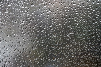 Rainy weather, raindrops on a window pane