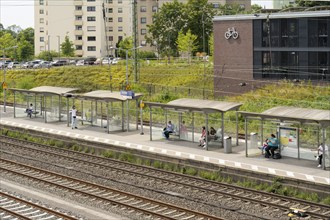 Platform shelters, Dülmen, Münsterland, North Rhine-Westphalia, Germany, Europe