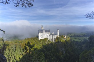 Neuschwanstein Castle near Hohenschwangau, Romantic Road, Ostallgäu, Bavaria, Germany, Europe