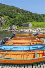 Colourful motorboats in the harbour of the fishing village of Lark Harbour, Bay of Islands,