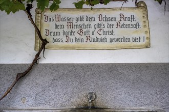 An old plaque on a wall with a proverb about a water fountain and a grapevine, St. Oswald, South