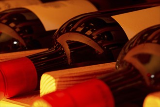 Wine cellar with red wine bottles