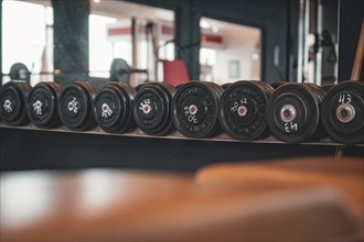 Row of disc dumbbells on a shelf in the gym, Historic Fitness Studio, Bulls Fit, Mannheim, Germany,